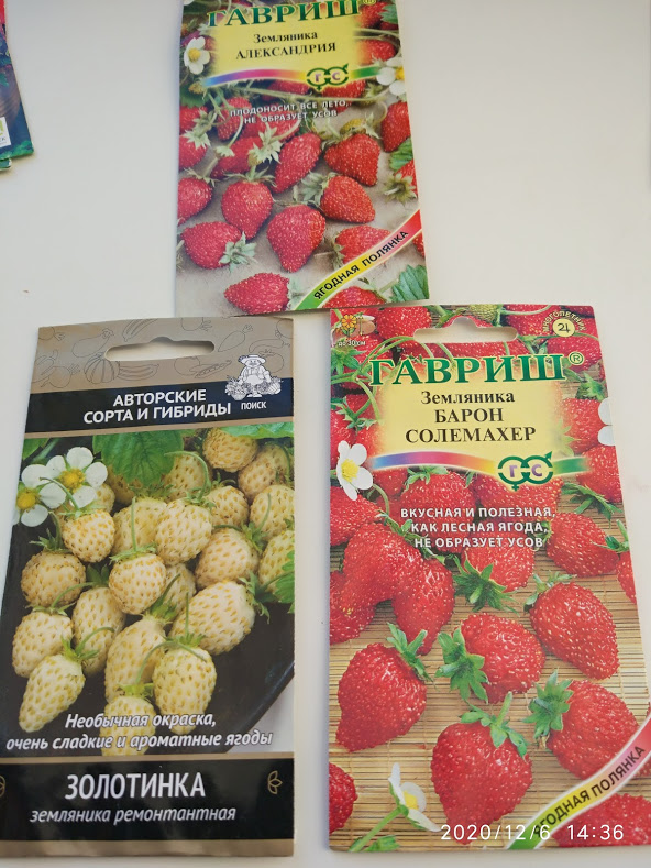 Красные сорта обещают быть без усов. Очень хотелось бы, но посмотрим, что получится.