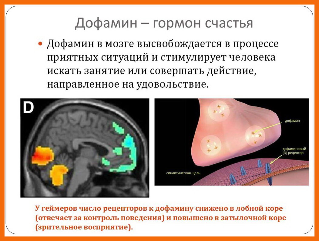 Биохимия мотивации в нашем теле через дыхание Вима Хофа. | Читающим между  слов... | Дзен