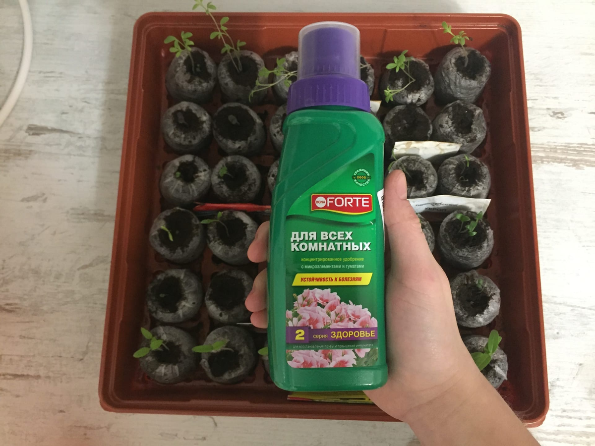 Удобрение для всех комнатных растений