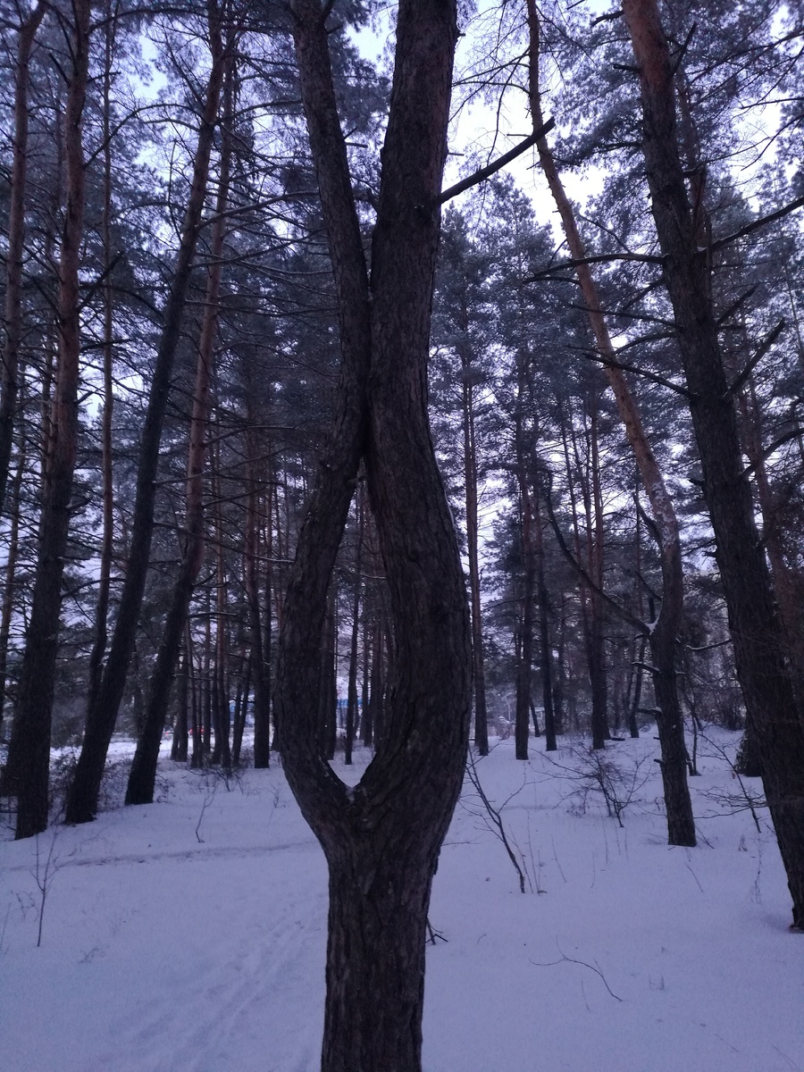 Из личного архива