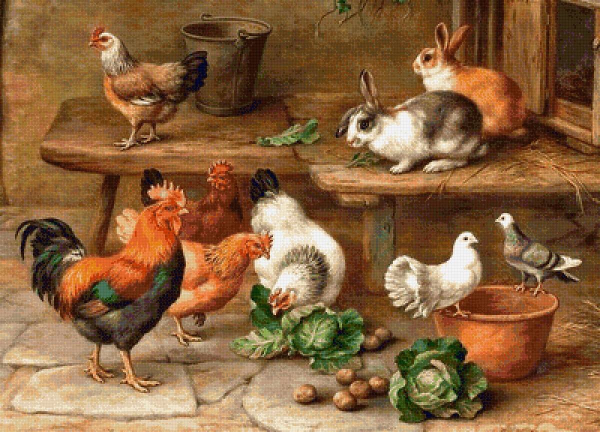 Домашняя живность. Из Яндекс-картинки.