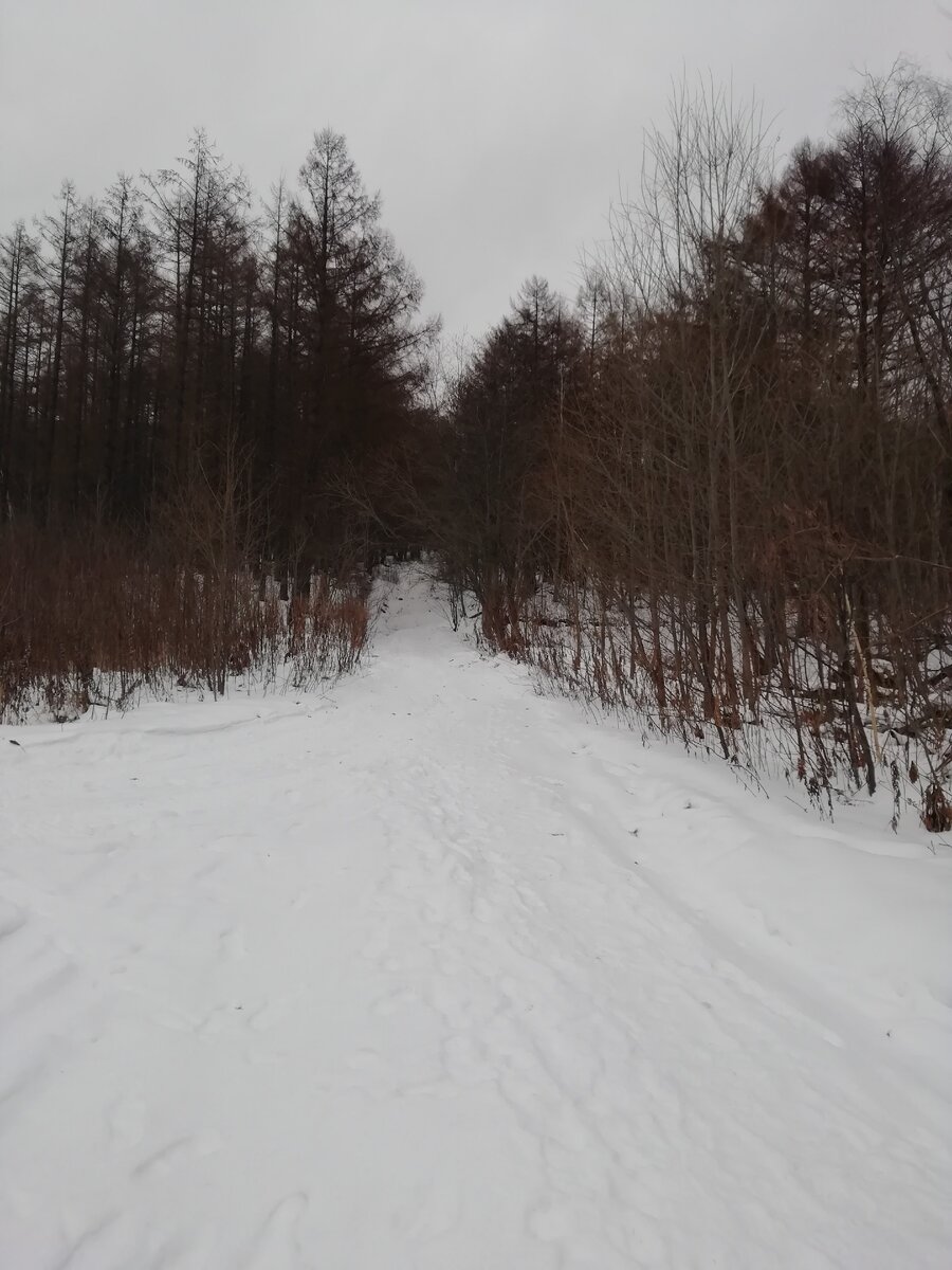 Подъем на вершину.