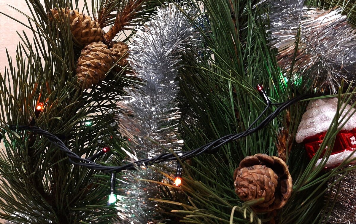 Теперь на эту же шишку, только через несколько дней :)