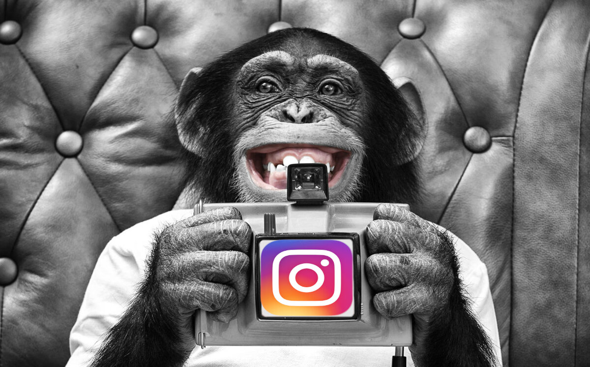 Жажда поощрения и лайков может легко превратиться в зависимость, ограничивающую креативность