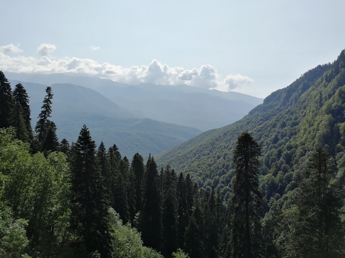 вид со смотровой площадки, фото из личного артива