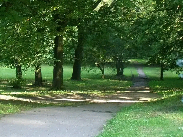 Это фото  сделано до перестройки парка . Фотографии все мои .