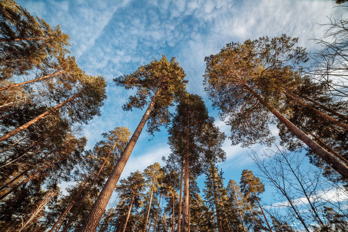 фото А.Никитина