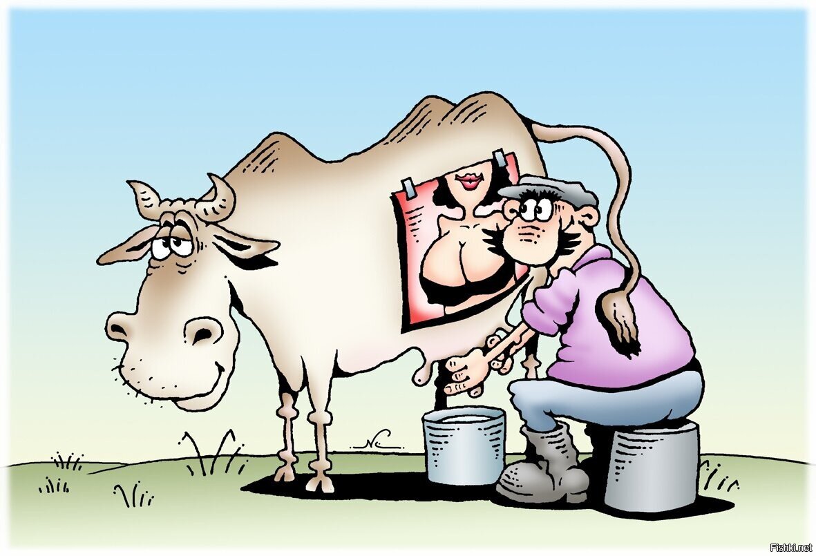 Шутка молоко. Корова карикатура. Корова шарж. Веселая корова доится. Прикольная корова.