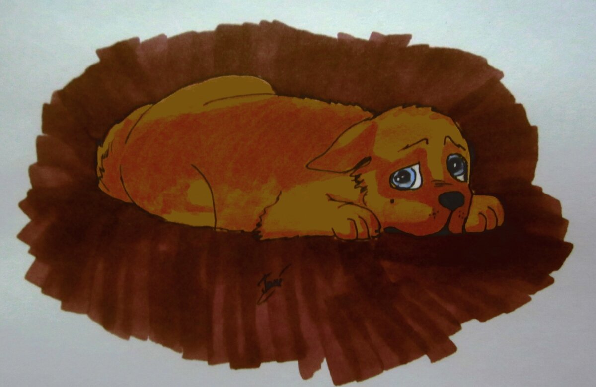 Испуганный щенок. "Художник" данной картины - Я