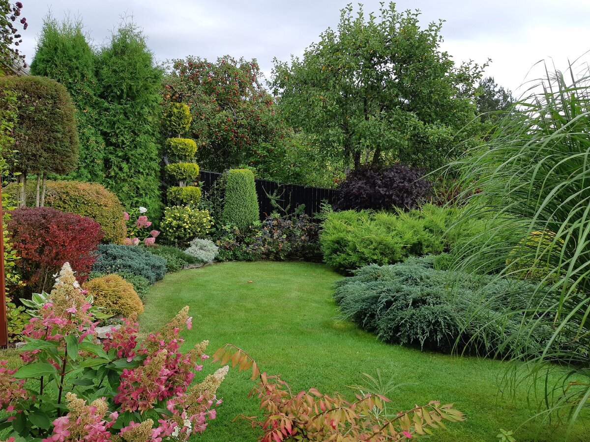 Сад Тамары Шпилиной