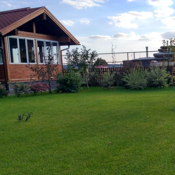 Газон - обязательная часть благоустройства участка. Фото автора