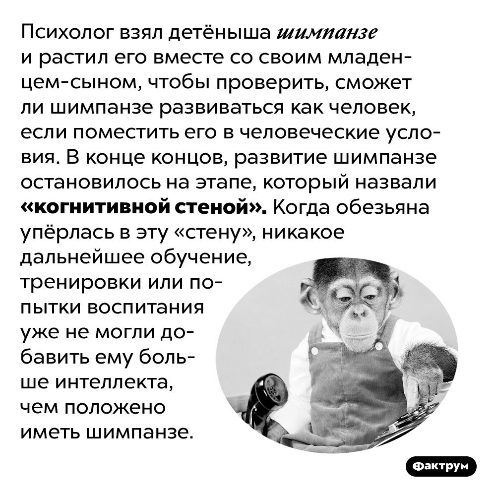 Мир в конце концов всегда воздает. Мир в конце концов всегда воздает