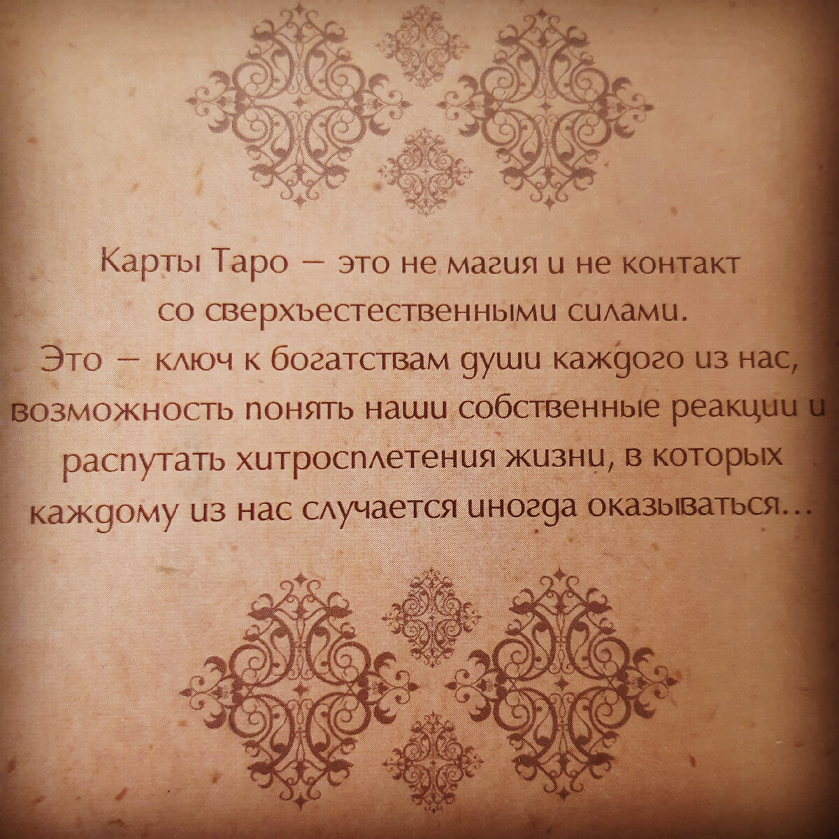 Я уже знала его каждый шаг наперёд и была благодарна тому дню, когда купила карты.