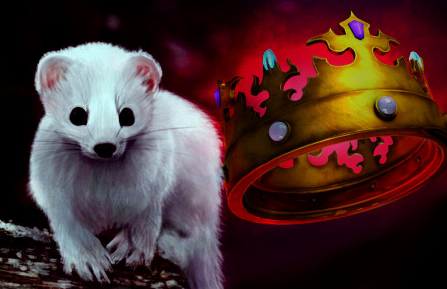 Исторически горностай был мехом подчёркивающим статус королевской семьи.