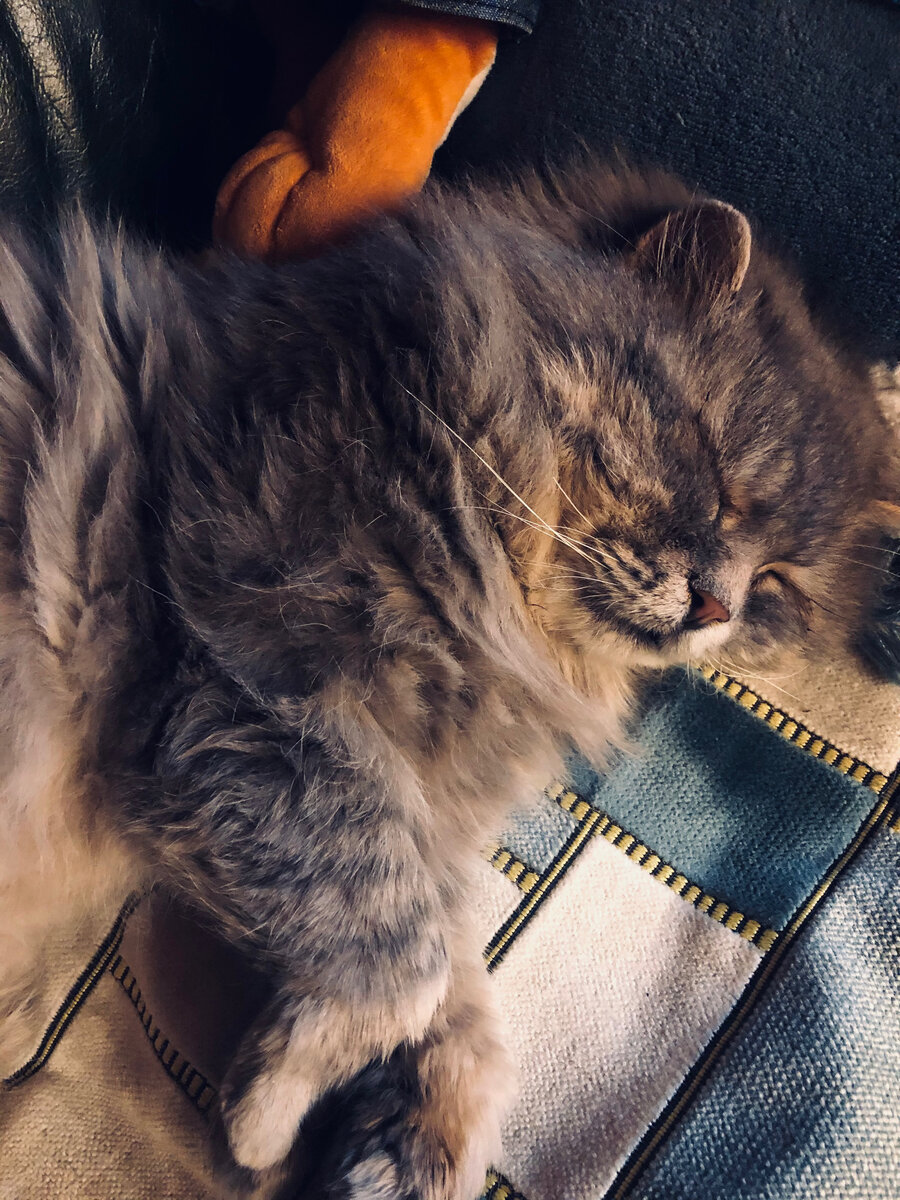 Как хорошо спать дома, когда на улице дождь. Везде фото автора.