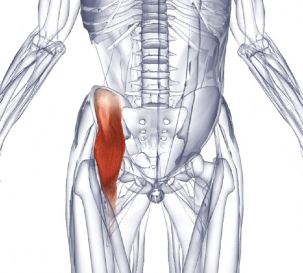 Болит прямая мышца. Подвздошно-поясничная мышца. Подвздошно-поясничная мышца анатомия. Подвздошно поясничная мышца бедра. Крестцово подвздошная мышца.
