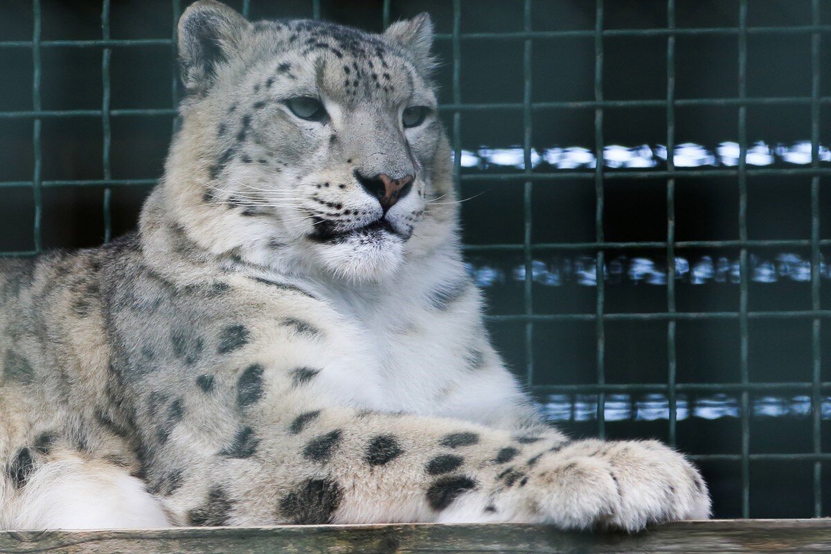 Песчаные дюны Сычево | Путешествия с БизнесБас | Дзен