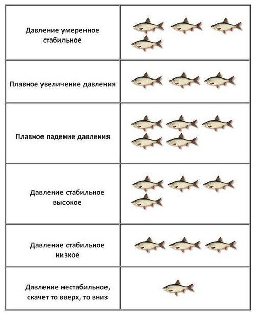 одна рыбка - малая активность рыбы, пять рыбок - высокая активность рыбы
