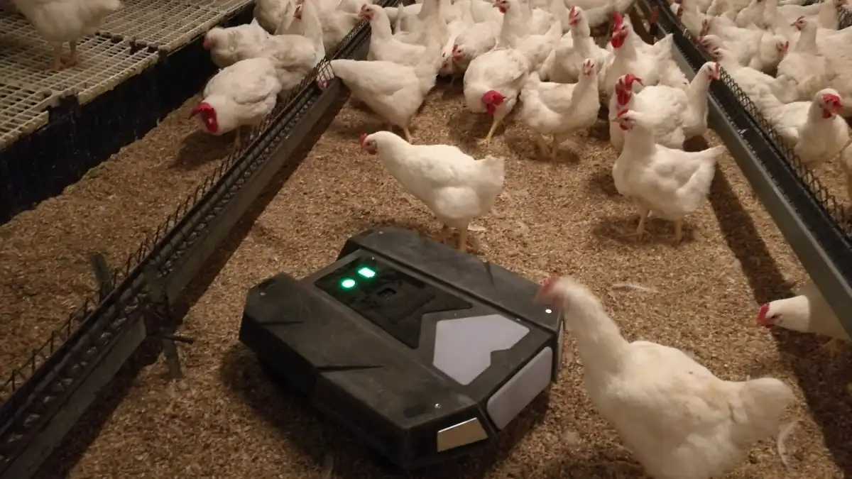 Фото: Tibot Technologies