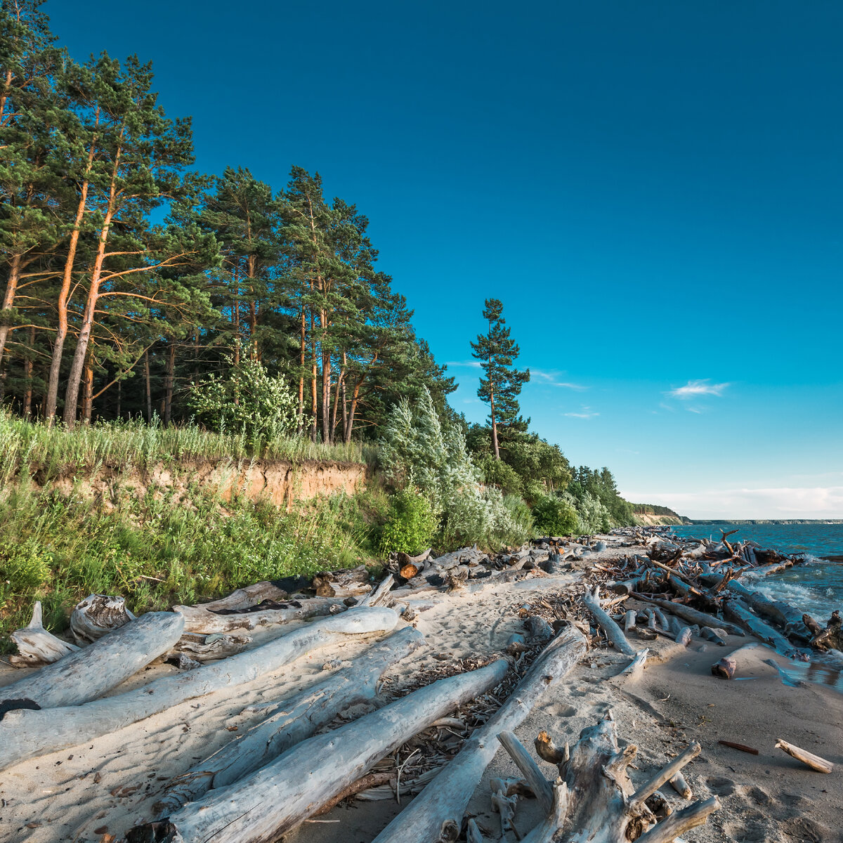 бердск обское море