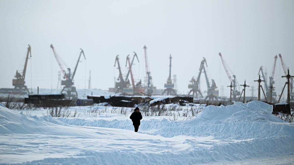    Вид на морской порт Дудинка Северного морского пути © РИА Новости / Владимир Астапкович