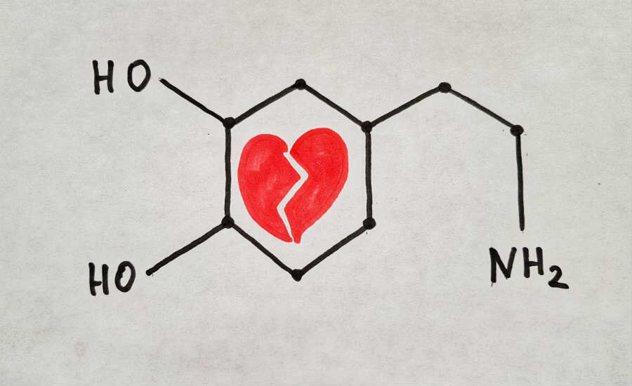 Гормон отвечающий за влюбленность. Гормон любви. Дофамин гормон любви. Дофамин влюбленность. Серотонин гормон любви.