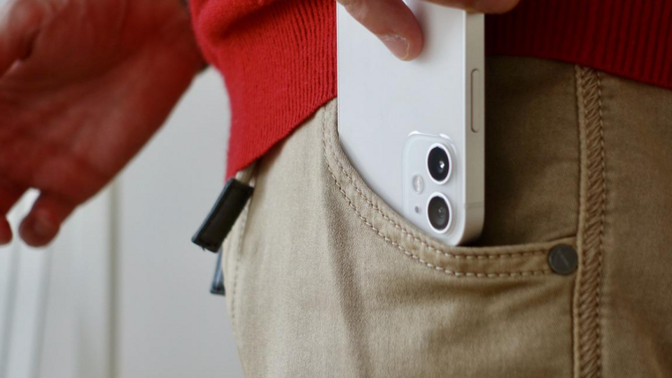 Фото: © pixabay