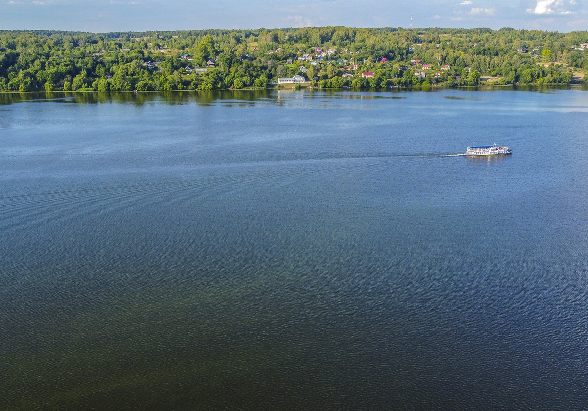   Светлана Парфенова