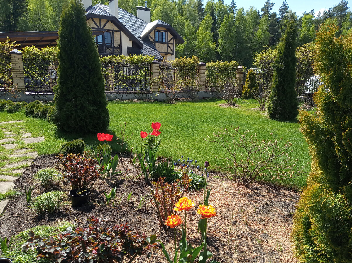 Весеннее фото, вроде совсем недавно было, а за окном уже глубокая осень...