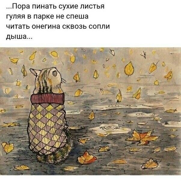 https://pin.it/2p9UHSA