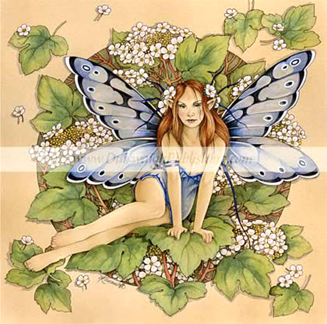 Волшебный мир фей. Принцессы диснея в виде фей. Барби тайна феи принцесса грациелла. Фея тинкербелл арт. Фея т.