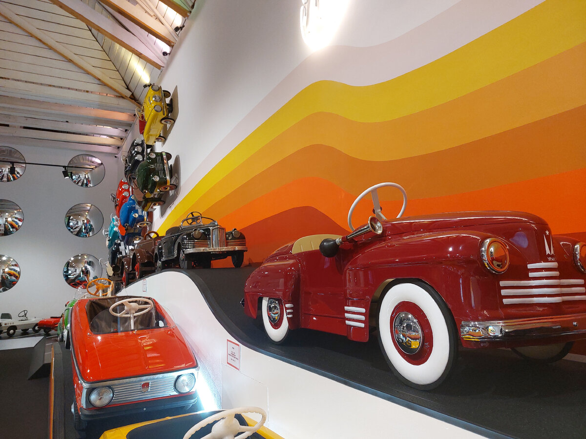 Такие красавцы живут в нашем музее