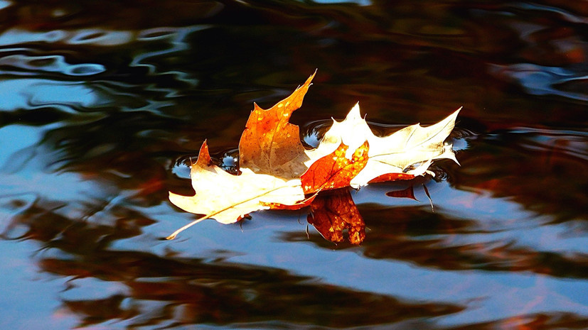   Gettyimages.ru Clifton Winter / EyeEm