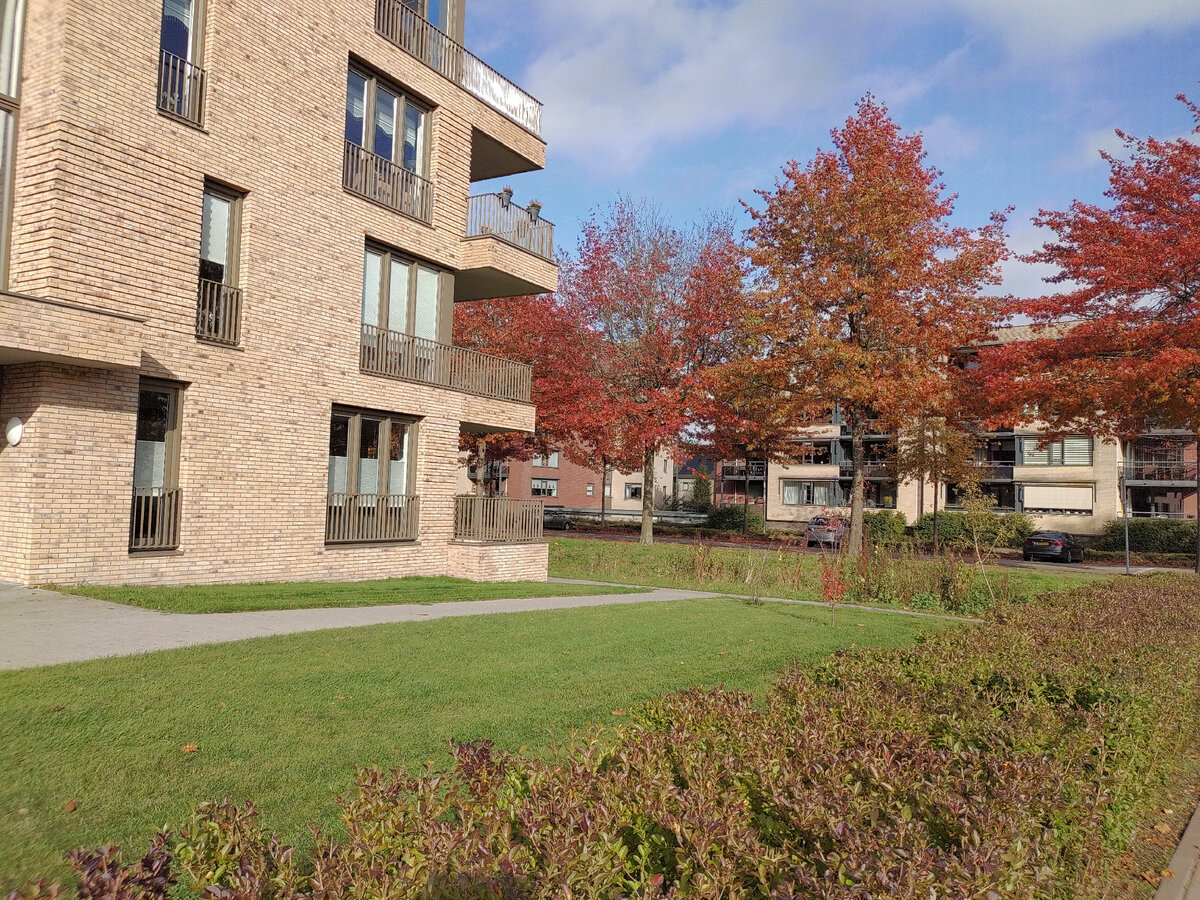 Почему в Нидерландах не ставят пластиковые окна. | Наталья Коойман | Дзен