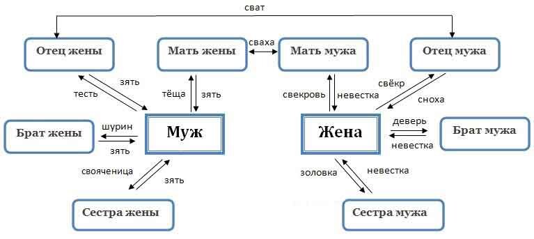 Члены семьи на английском.