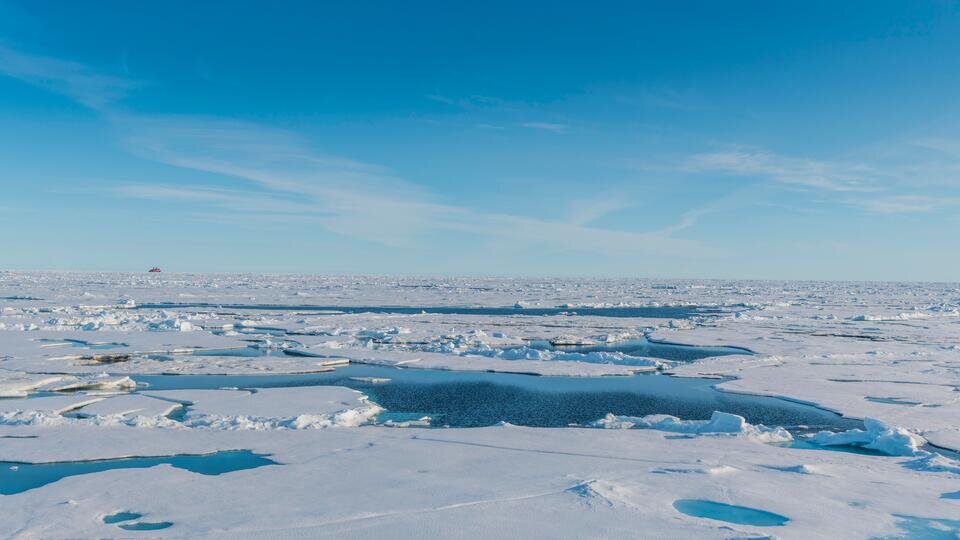 Фото: © Global Look Press/Michael Runkel