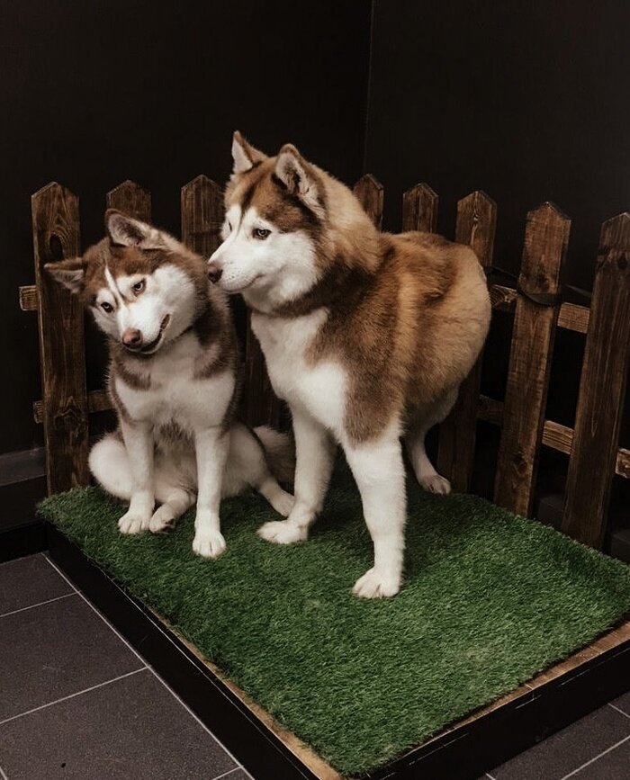     Фото: vk.com МБУДО «Детская Экологическая станция»