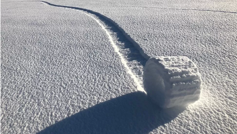 А еще они всегда оставляют за собой таинственный след.  Фото: Brian Bayliss   https://www.bbc.com/news/uk-england-wiltshire-47108382 