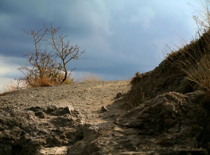 фото из общедоступных ресурсов