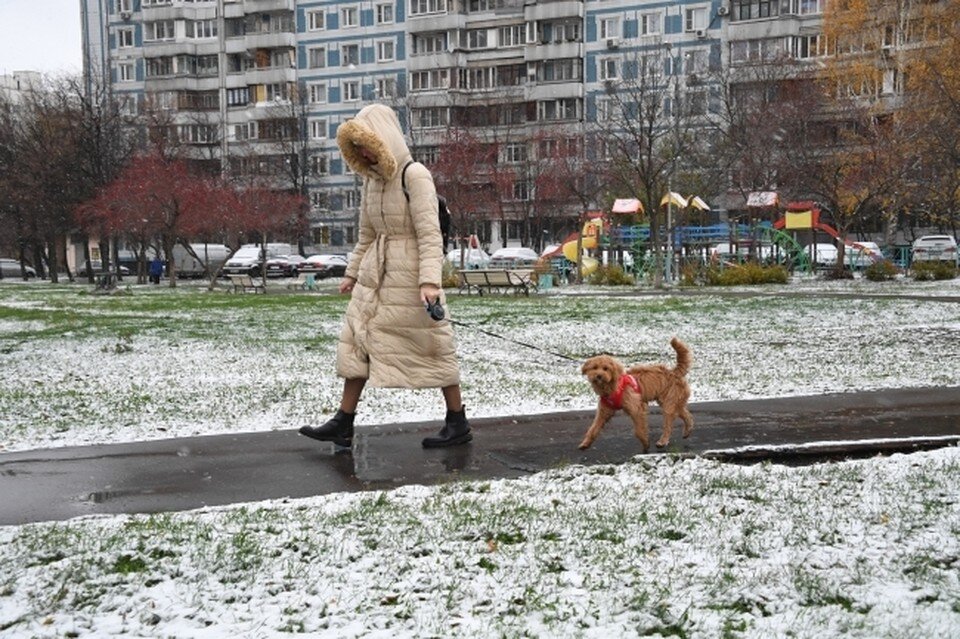     Фото: Фролов Михаил