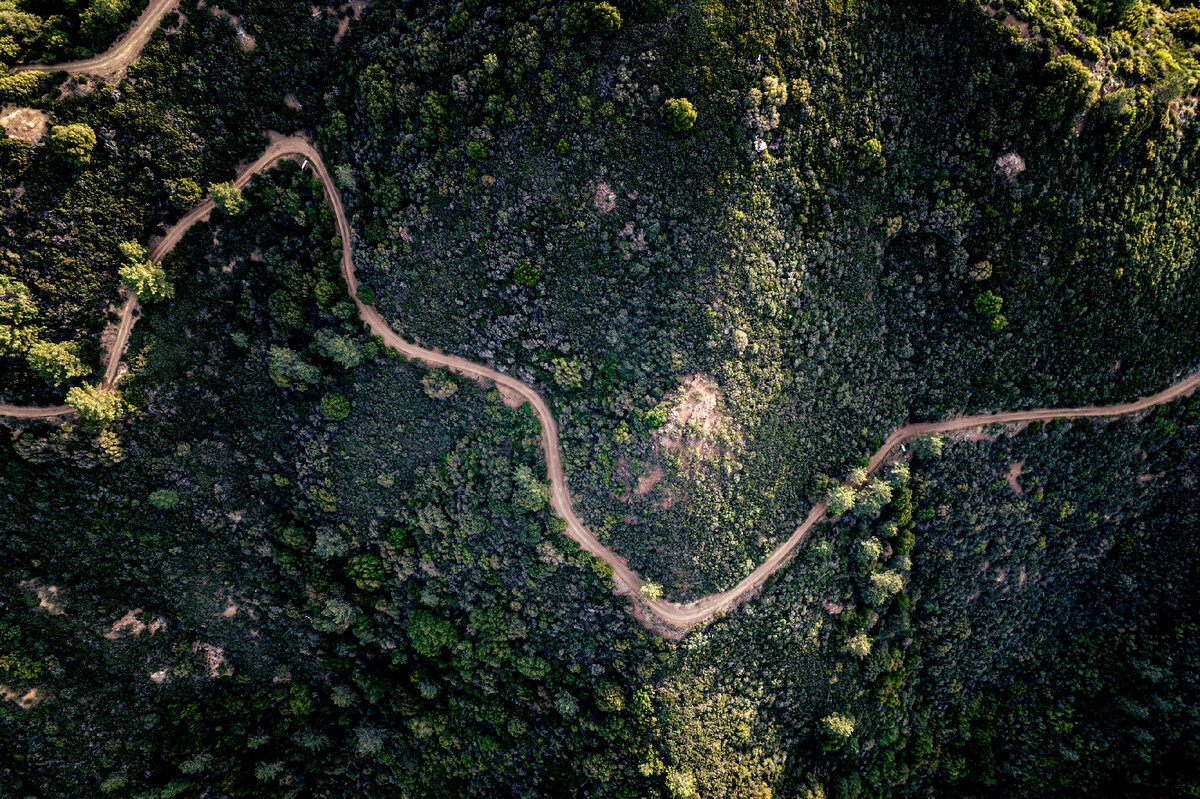 Картинка с бесплатного фотостока https://unsplash.com, автор Alex Diaz