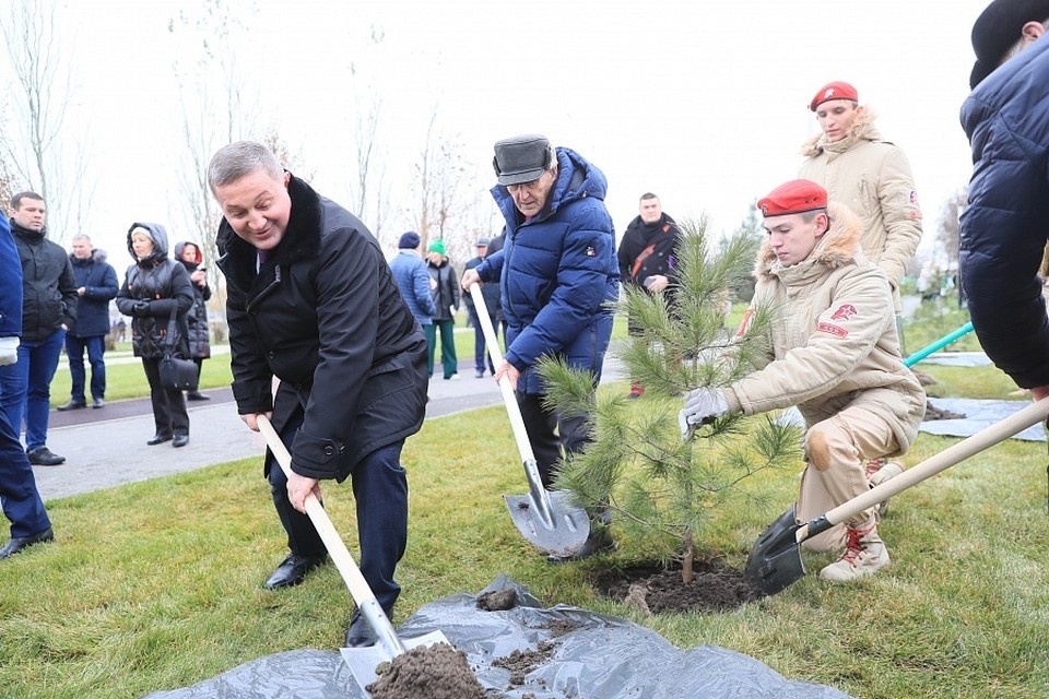     Ветеран из Кемерово сам приехал сажать кедры у Мамаева кургана. Фото: Волгоградской администрация области.