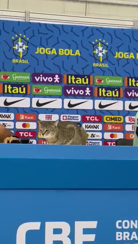    Видео: ВПШ