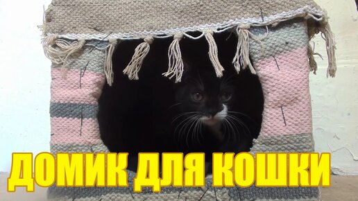 Оригами КОТ, котик из бумаги своими руками, как сделать кошку