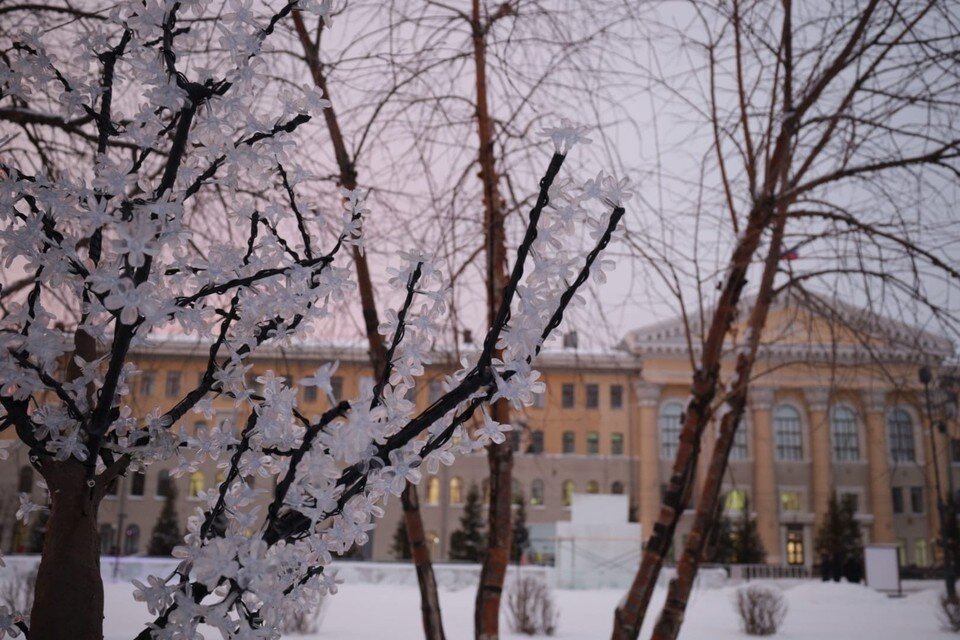     Резкое похолодание до -37 градусов ожидают в начале недели в Томской области Ксения Высотина