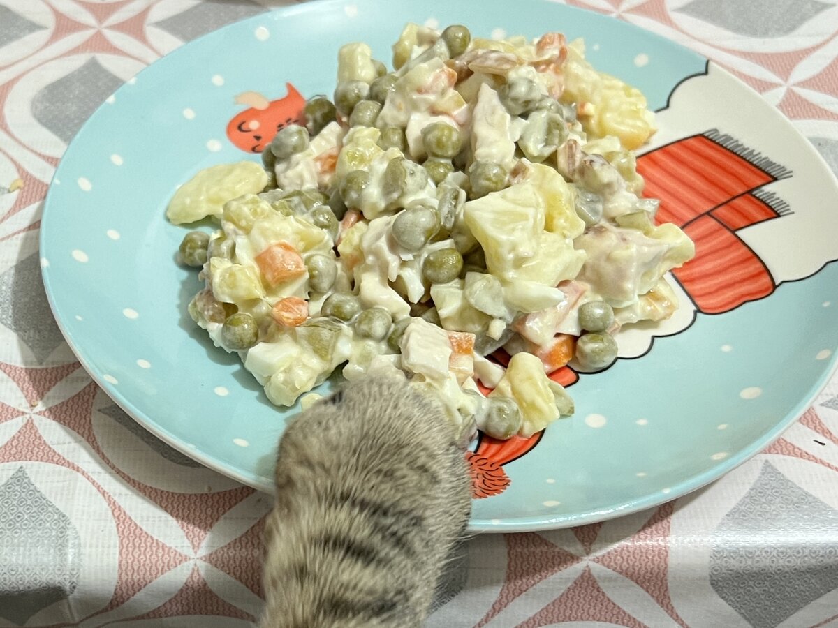 Все фото - автора 