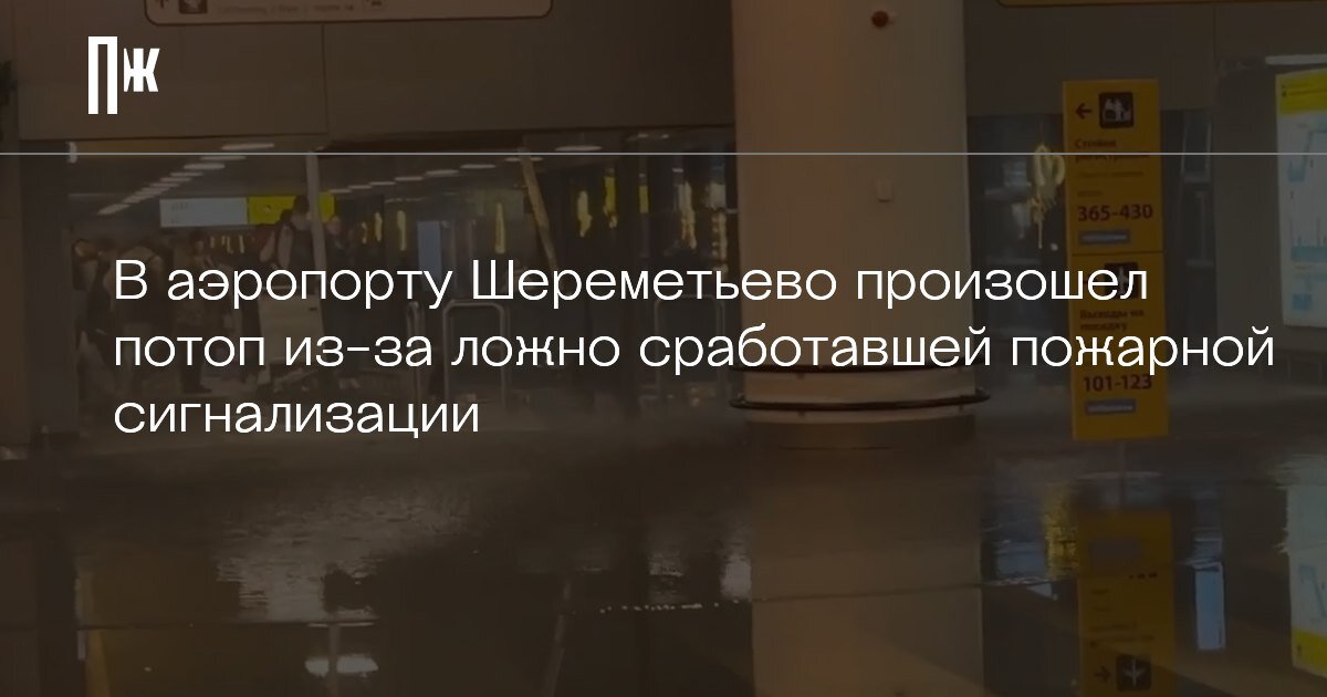     В аэропорту Шереметьево произошел потоп из-за ложно сработавшей пожарной сигнализации