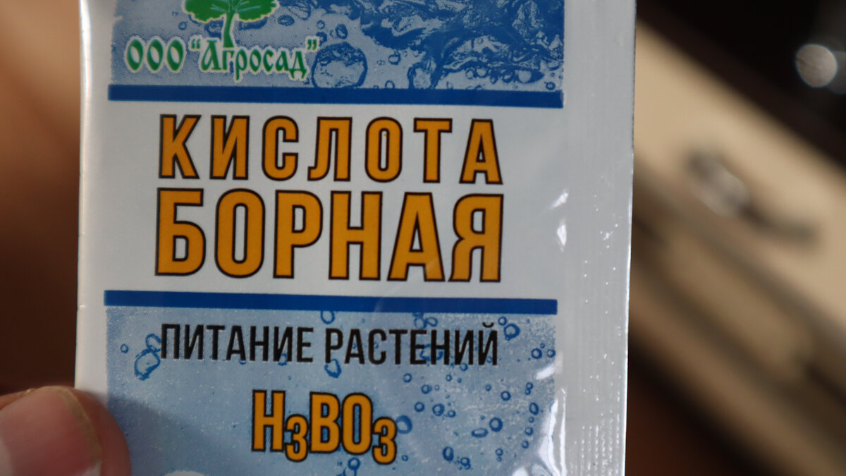 Фото из личного архива.