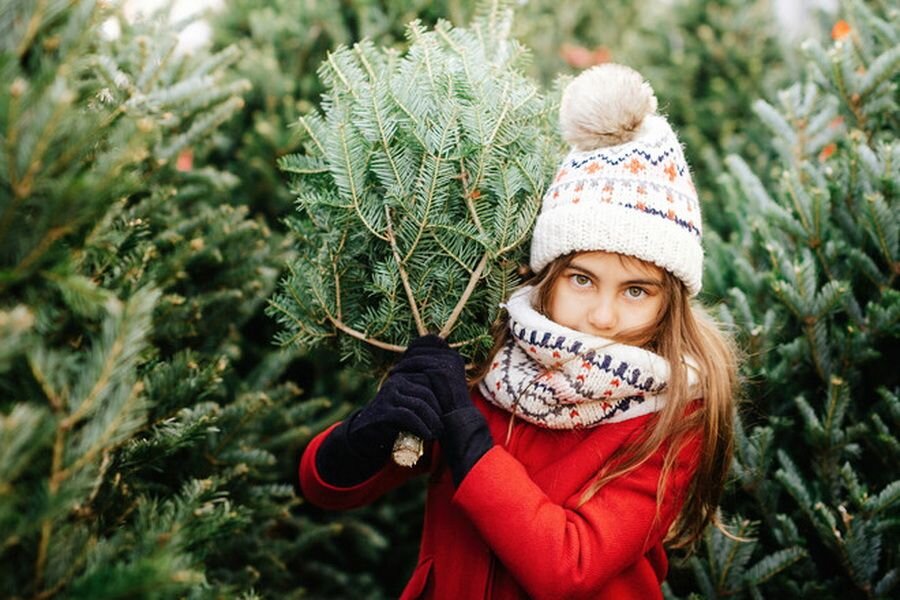 Елочный базар