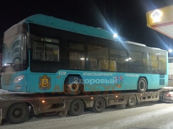     Фото из группы "Здоровый автобус"